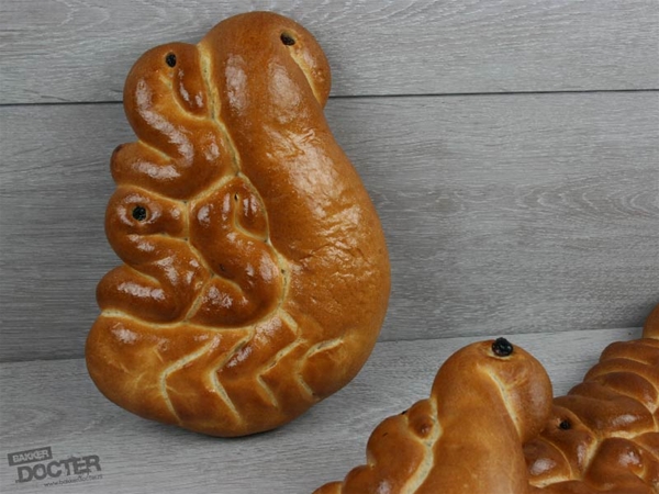 Zwaan met 3 zwaantjes